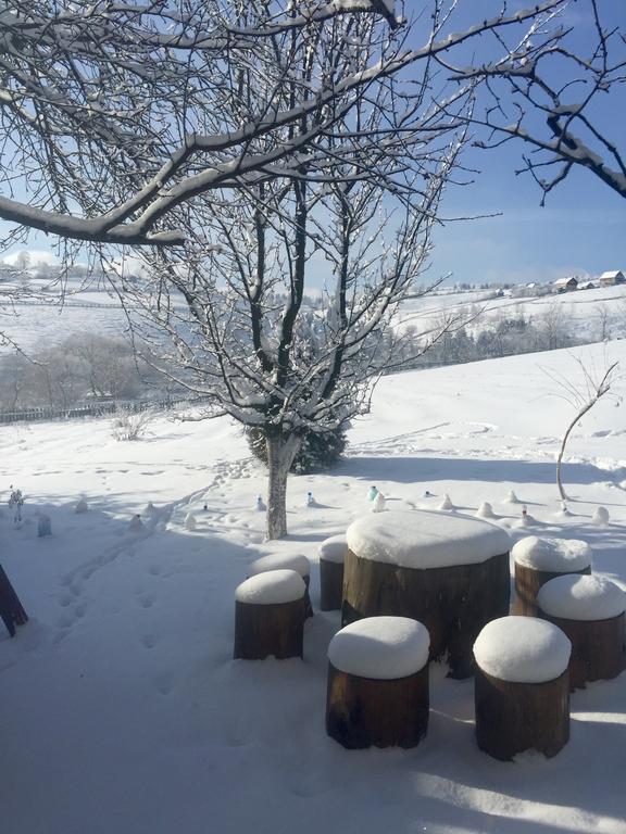 Pensiunea Casa Eden Mărişel Екстериор снимка